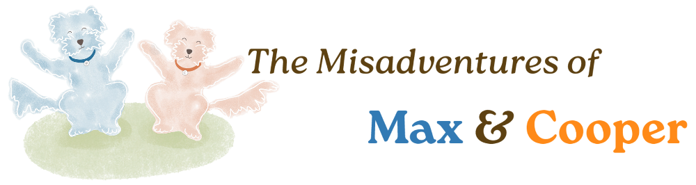 The Misadventures of Max & Cooper